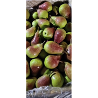 精品一面红梨