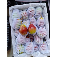 红啤梨代办