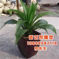 户外景观花盆/花器/种植箱景观花盆 