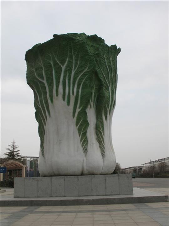 蔬菜大拼盘