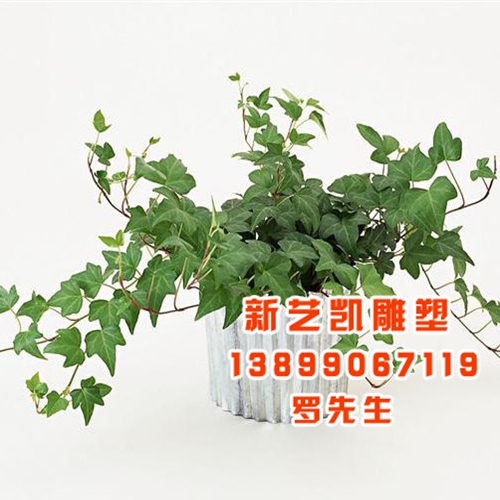 各种规格的花盆/生产各式花盆厂家 
