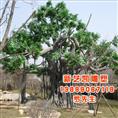 新疆仿真榕树价格-新疆仿真榕树出售 