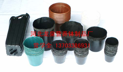 河北营养钵电话/河北专业塑料营养钵生产厂