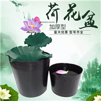 营养钵厂家