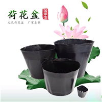 荷花盆营养钵