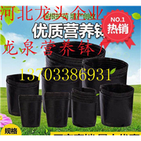 河北植树袋厂家