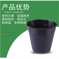 育苗钵