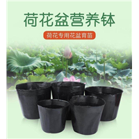 荷花专用营养钵