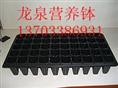 河北营养钵厂家/河北专业培育作物幼苗用的钵状物销售