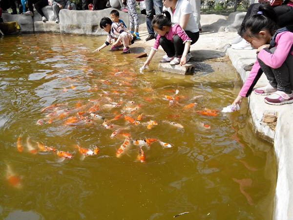 慢慢喝