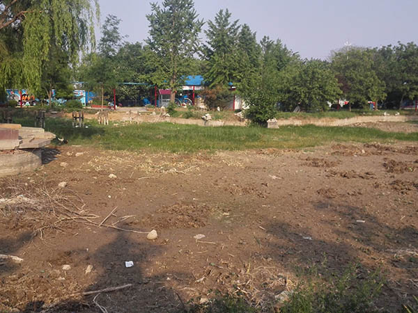 这么烂