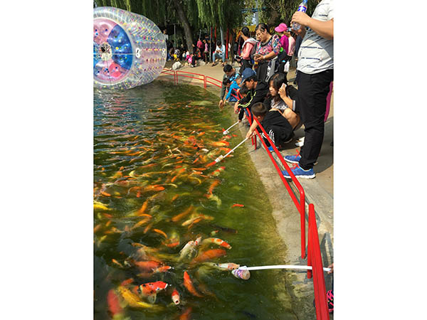 很是热闹