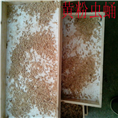 山东黄粉虫-山东黄粉虫养殖基地 