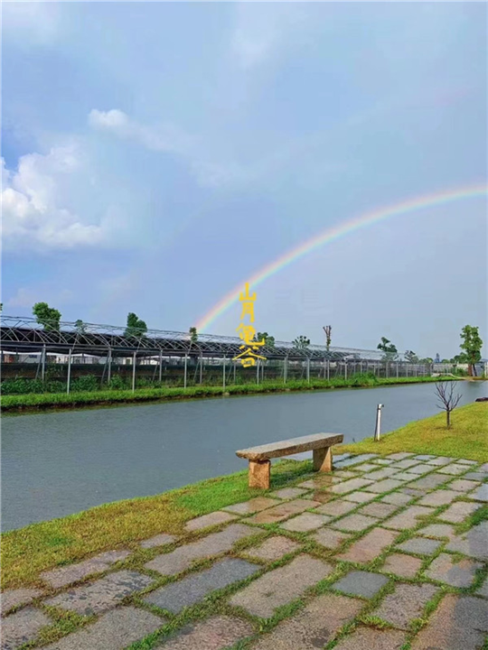 广西巴西龟养殖基地