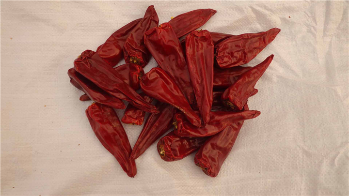 一级益都红 