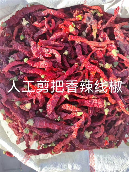 河南红辣椒批发介绍