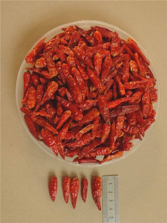 辣椒王 