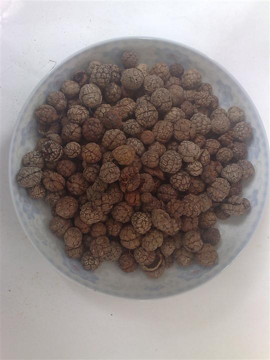 豆蔻 