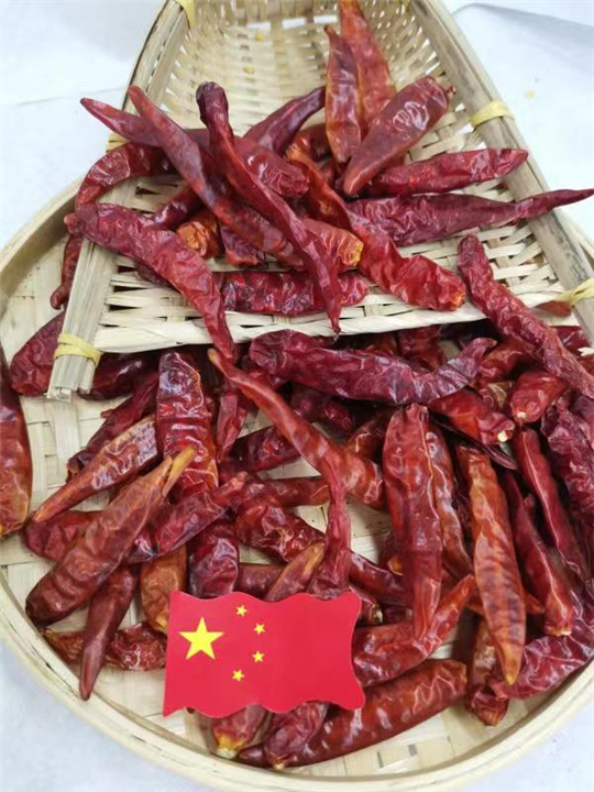 河南干辣椒批发