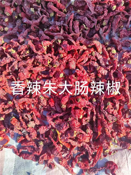 河南辣椒段批发介绍