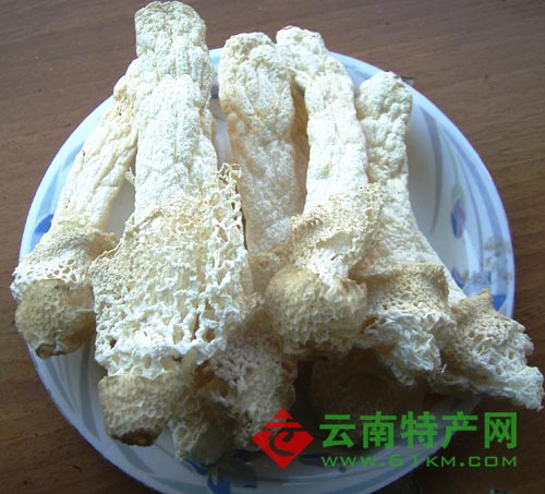 竹荪菌 