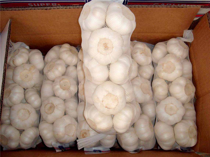 大蒜 