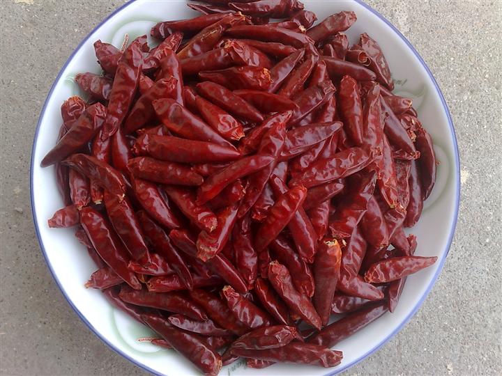 **头(辣椒干） 