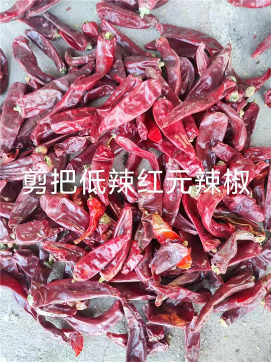 河南干辣椒批发