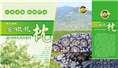 金银花枕-金银花枕批发-山东金银花枕 