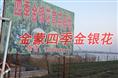 金蒙四季金银花种植专业合作社
