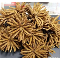 恒大绿洲长期回收茅台酒,上门回收茅台酒 