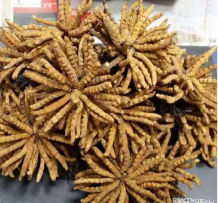 华阳镇长期回收53茅台酒,上门回收茅台酒 