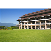 江西庭院草皮草坪出售基地在哪里