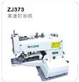 ZJ373 