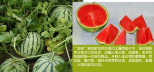 云南西瓜•**西瓜代办•云南西瓜**行情 