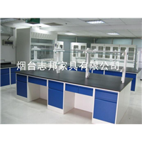 洛阳全钢实验台ZBD-665 