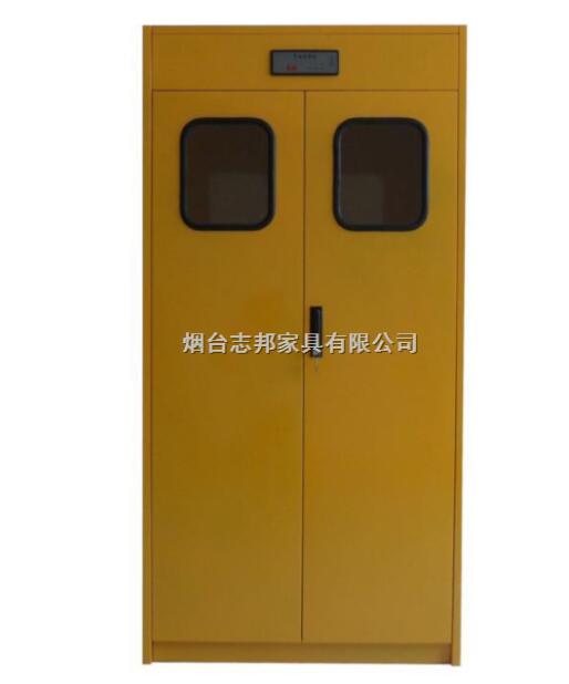 洛阳气瓶柜ZBD-232 