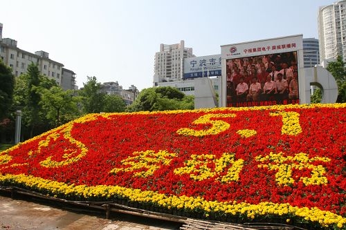 节日草花价格 五一草花价格 国庆草花价格 山东草花供应商 