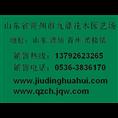 山东绿化苗木 