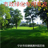 长沙草皮基地