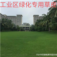 长沙草皮基地