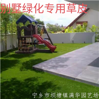 长沙草皮基地