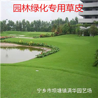 长沙马尼拉草皮基地