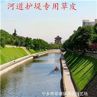 长沙草皮基地