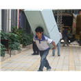 石狮锦尚搬家