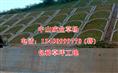 包种草坪工地/广东草场销售