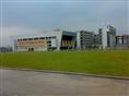 学校专用草坪/中山学校专用草坪供应商