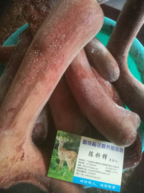 出售鹿茸|广东鹿茸|广东哪里有新鲜鹿茸卖 