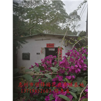 惠州顺锋梅花鹿养殖基地 