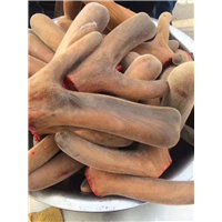 广东新鲜鹿茸